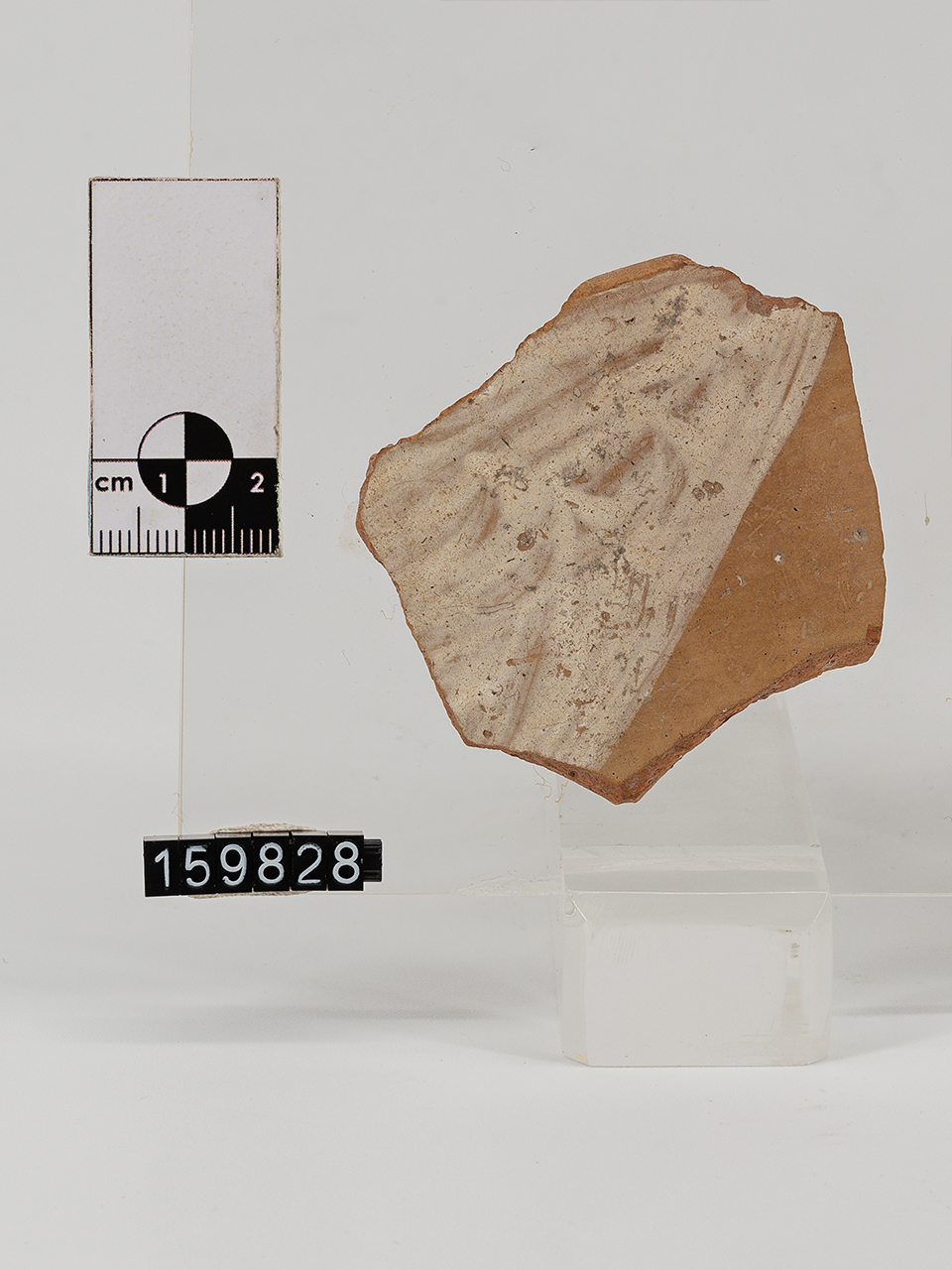 frammento (Neolitico Medio)