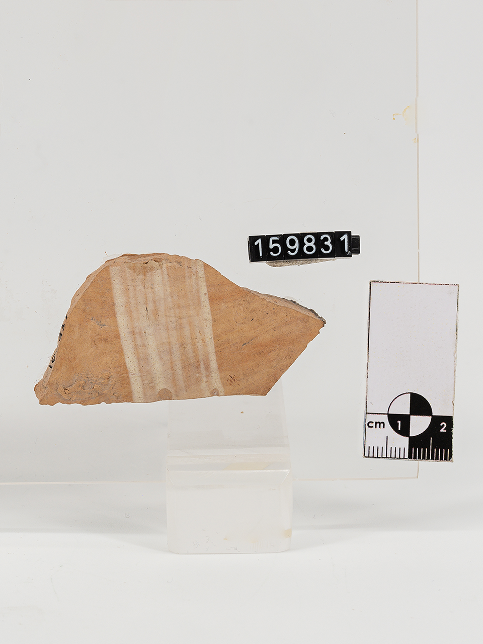 frammento (Neolitico Medio)