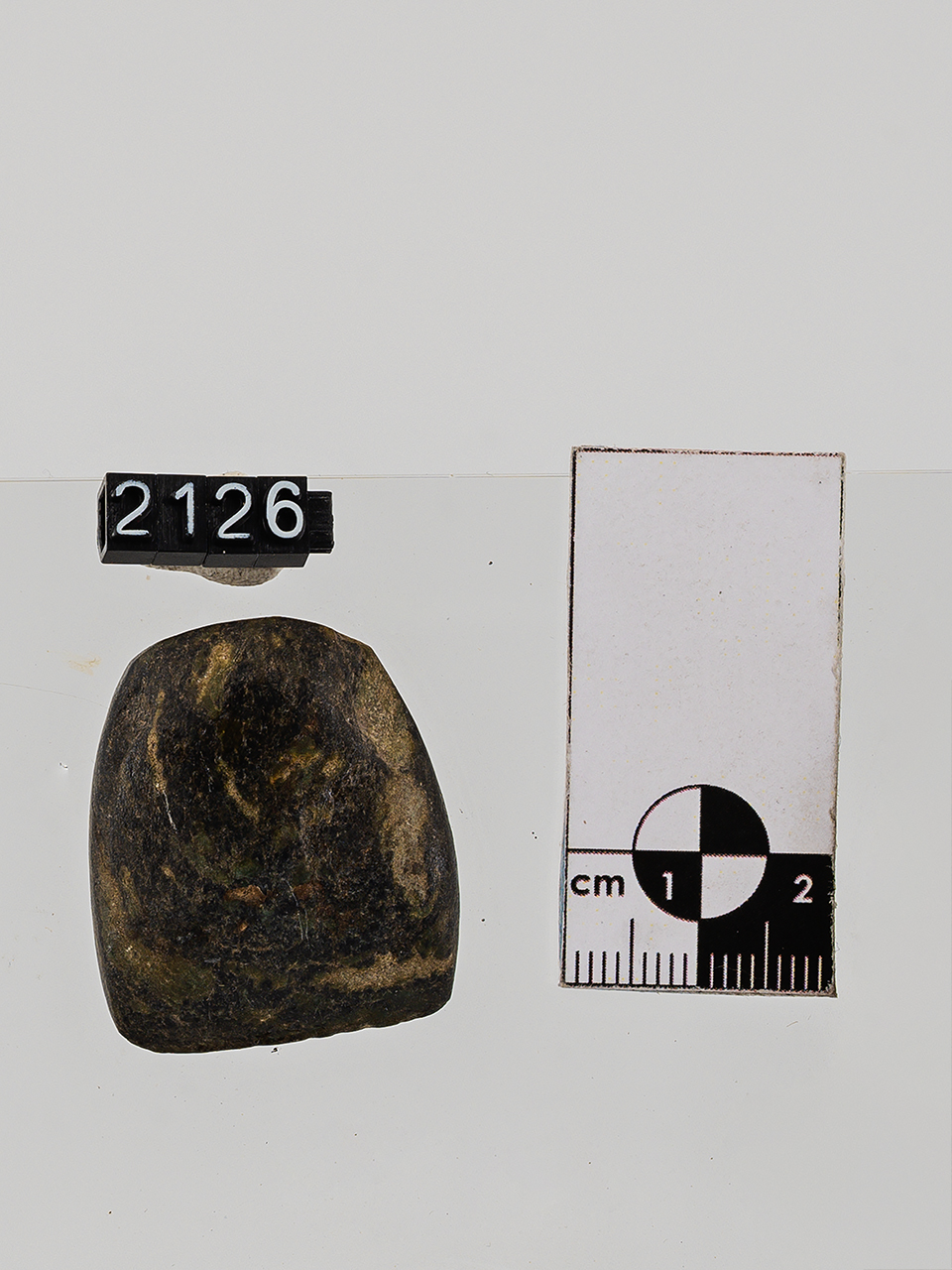 accettina (Neolitico)