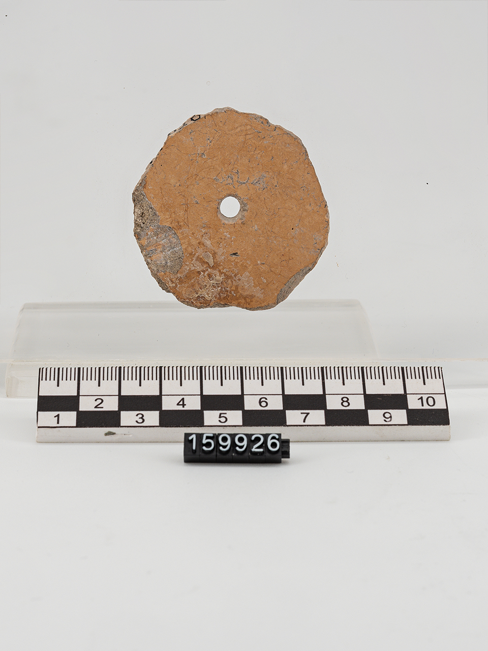 rondella (Neolitico Medio)