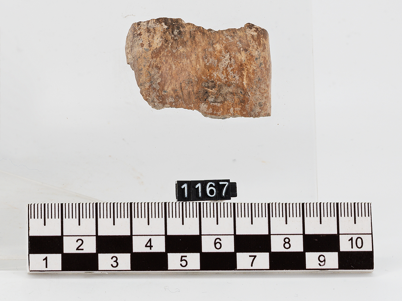 frammento (Neolitico Antico)