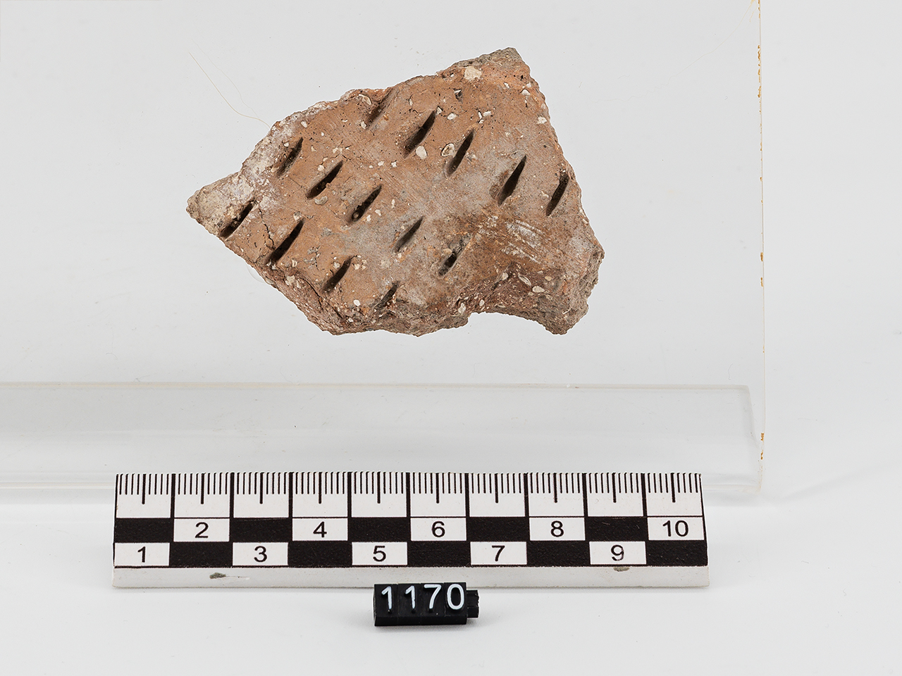 frammento (Neolitico Antico)