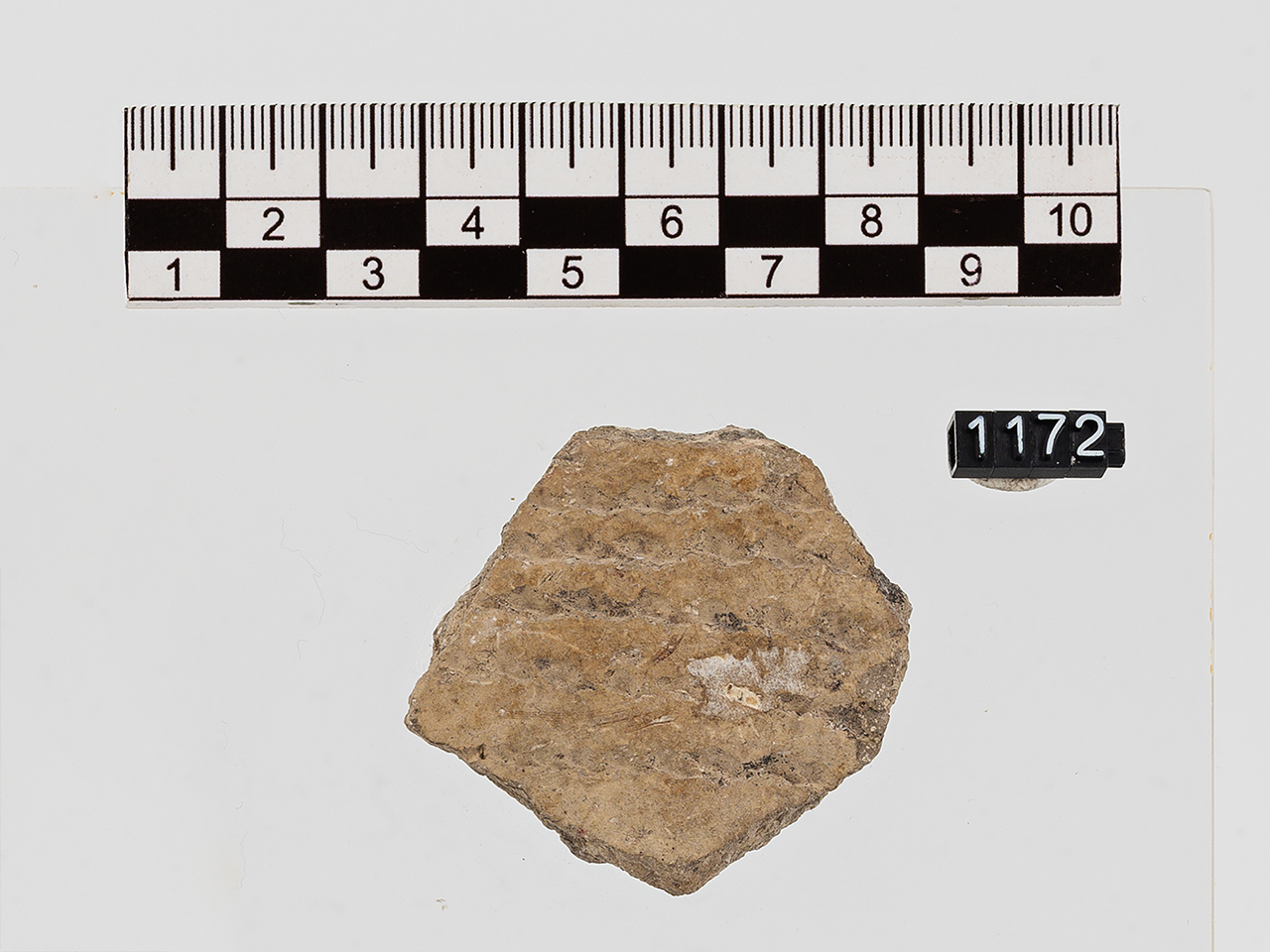 frammento (Neolitico Antico)