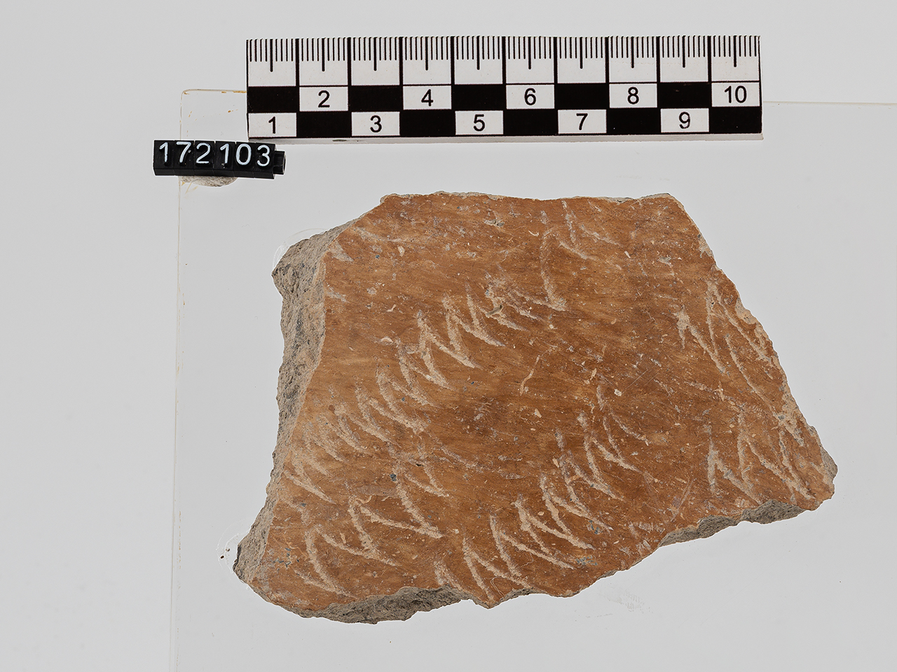 frammento (Neolitico Antico)