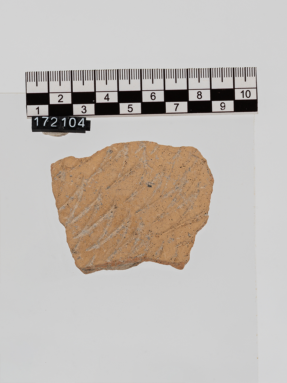 frammento (Neolitico Antico)