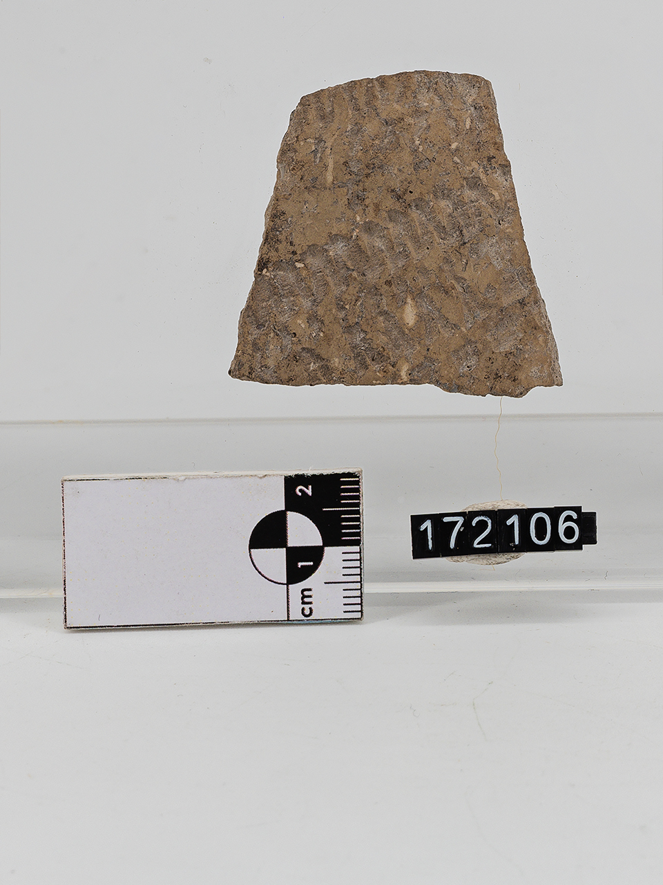 frammento (Neolitico Antico)