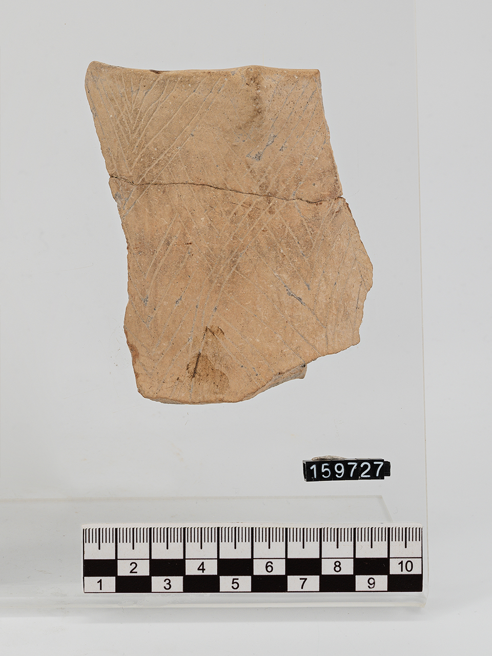 frammento (Neolitico Antico)