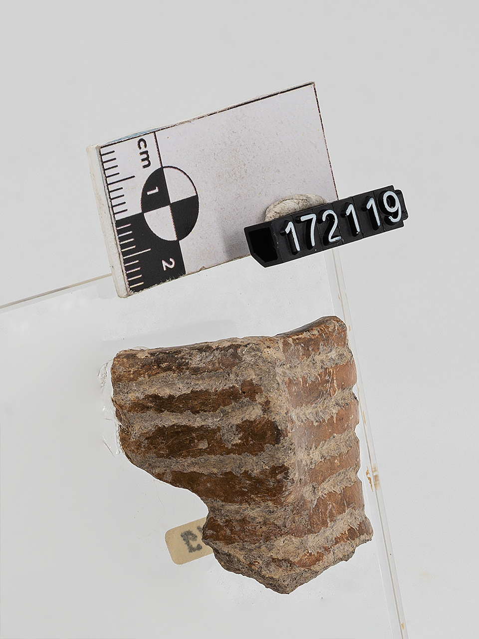 frammento (Neolitico Antico)