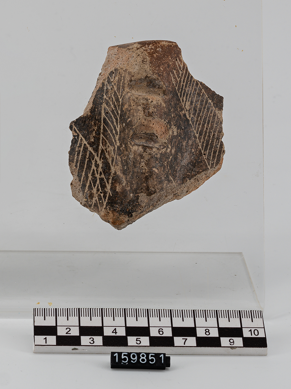 frammento (Neolitico Antico)