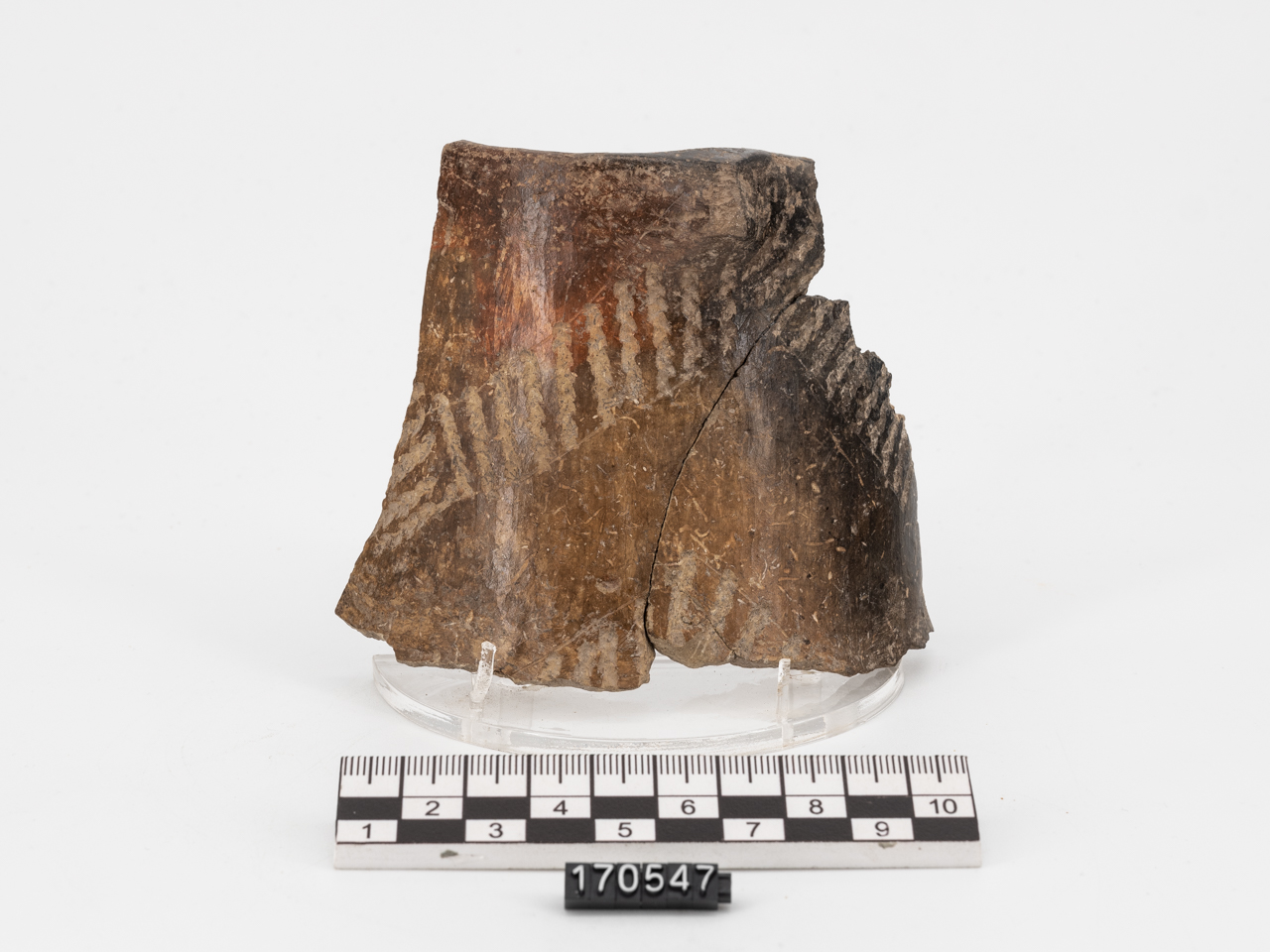 frammento (Neolitico Antico)