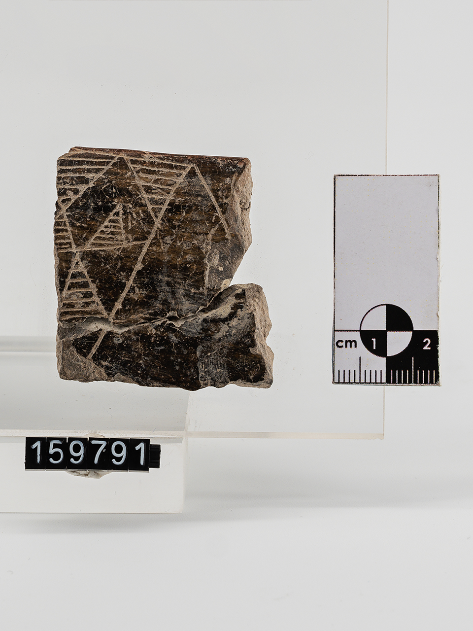 frammento (Neolitico Antico)