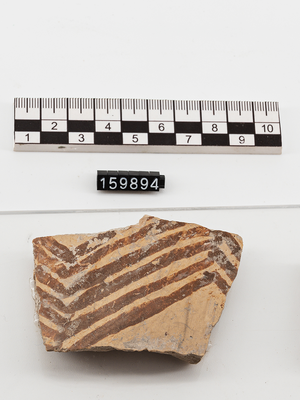 frammento (Neolitico Antico)