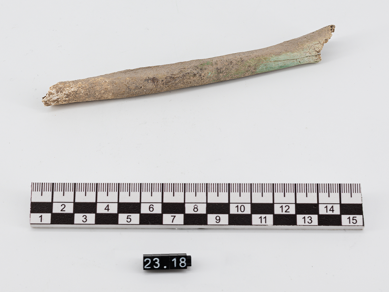 singolo reperto antropologico, reperto osseo (Neolitico)
