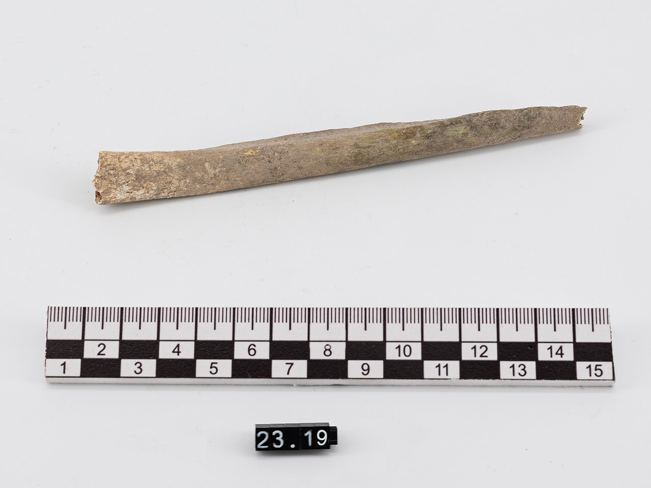 singolo reperto antropologico, reperto osseo (Neolitico)
