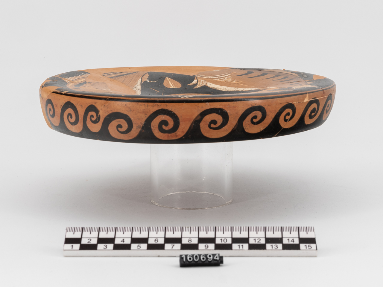 piatto/ da pesce, Apuliam IV A.5 di Kalsruhe 66/144 (SECOLI/ IV a.C)