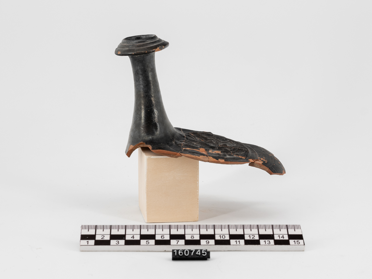 guttus, AP I, 4f di Jentel (SECOLI/ IV a.C)