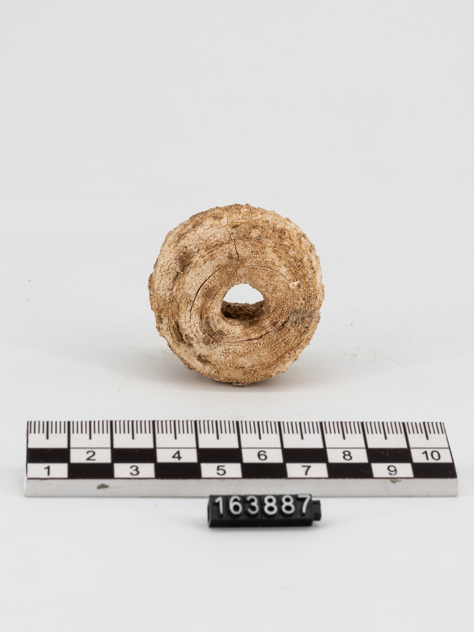 anello (seconda metà SECOLI/ VI a.C)