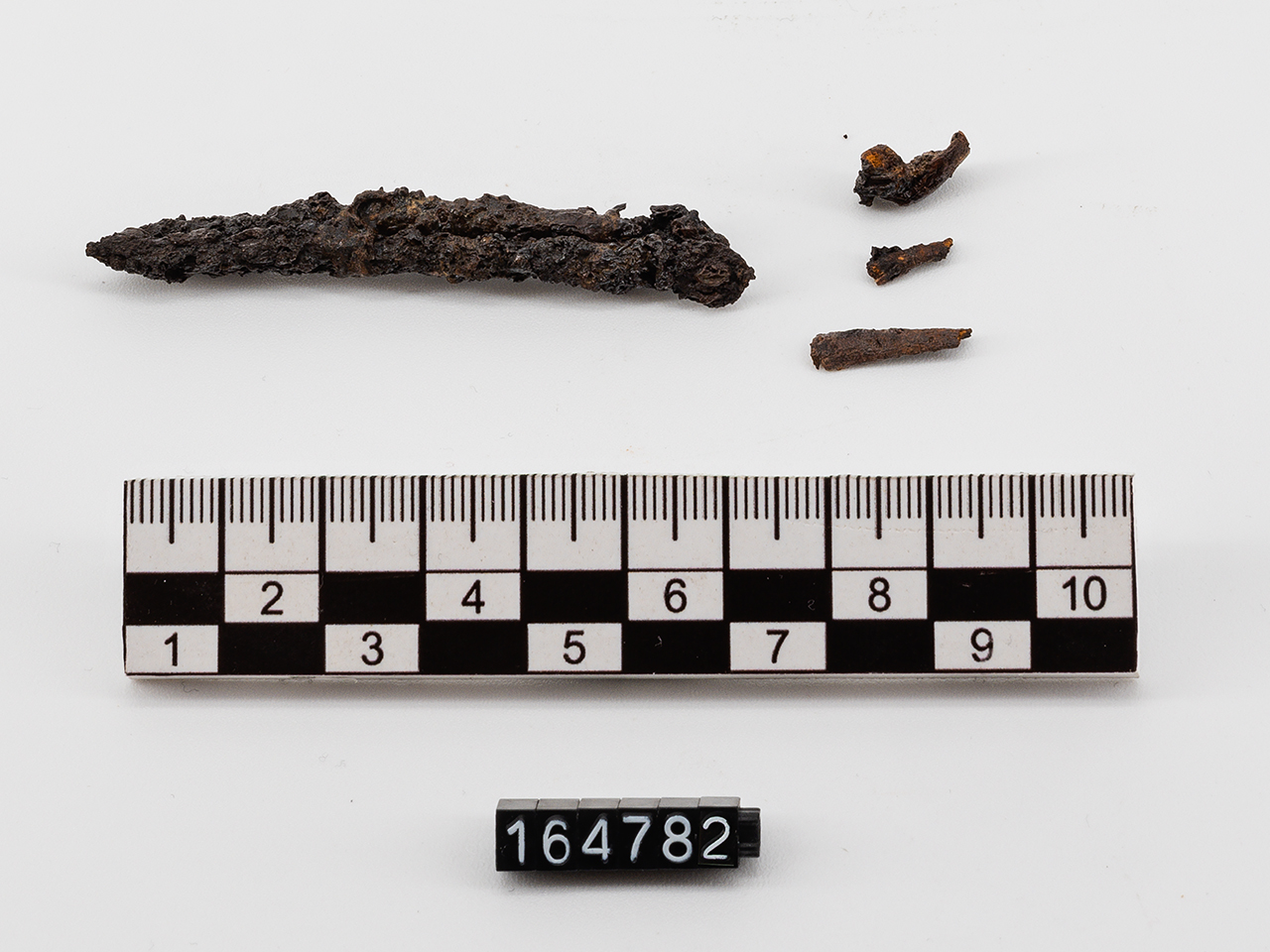 fibula (primo quarto SECOLI/ IV a.C)