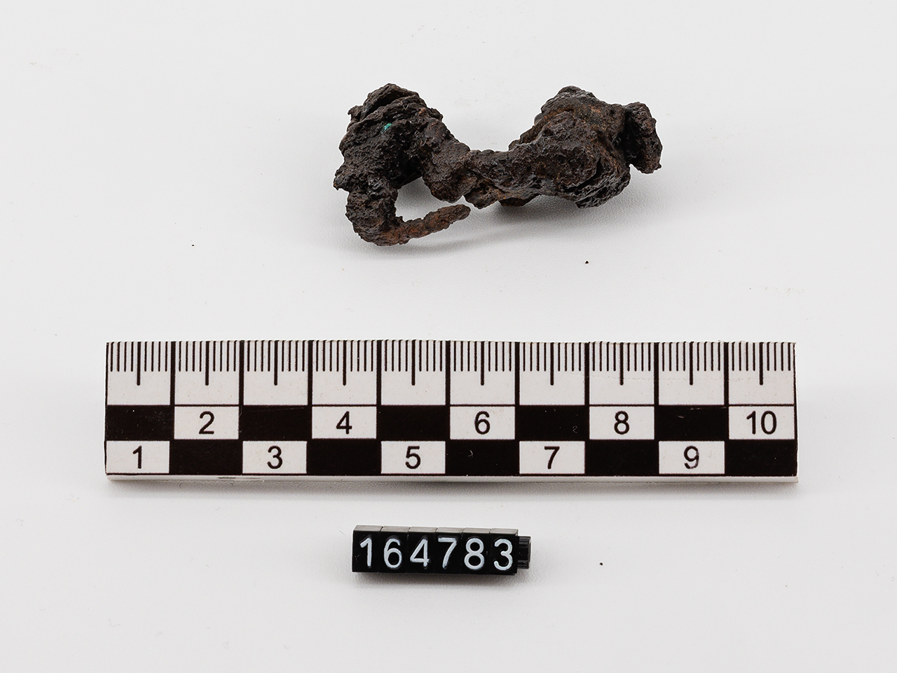 fibula (primo quarto SECOLI/ IV a.C)