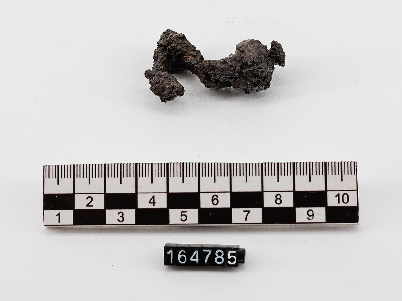 fibula (primo quarto SECOLI/ IV a.C)