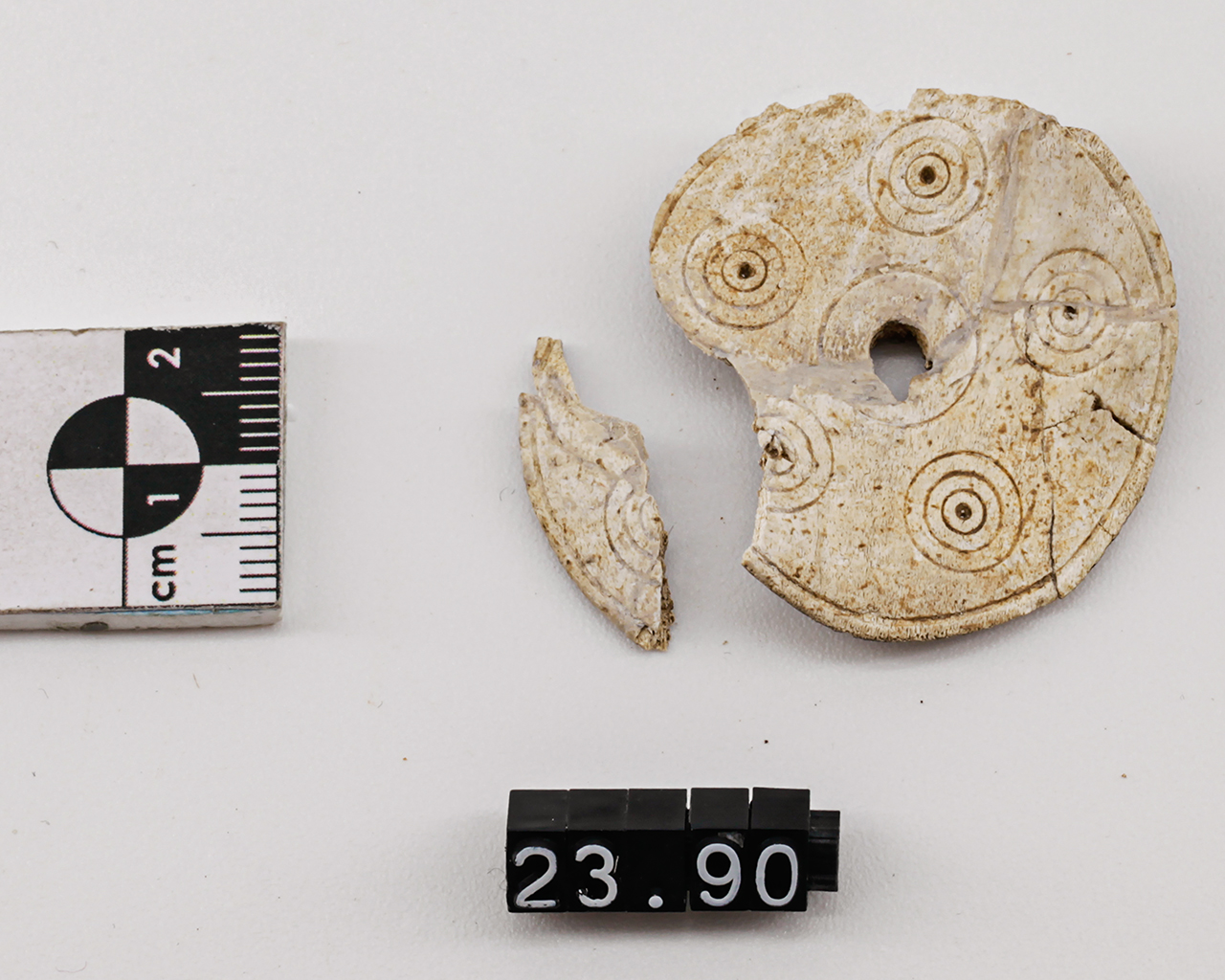 disco (PERIODIZZAZIONI/ PROTOSTORIA/ Bronzo finale-Prima età del Ferro)