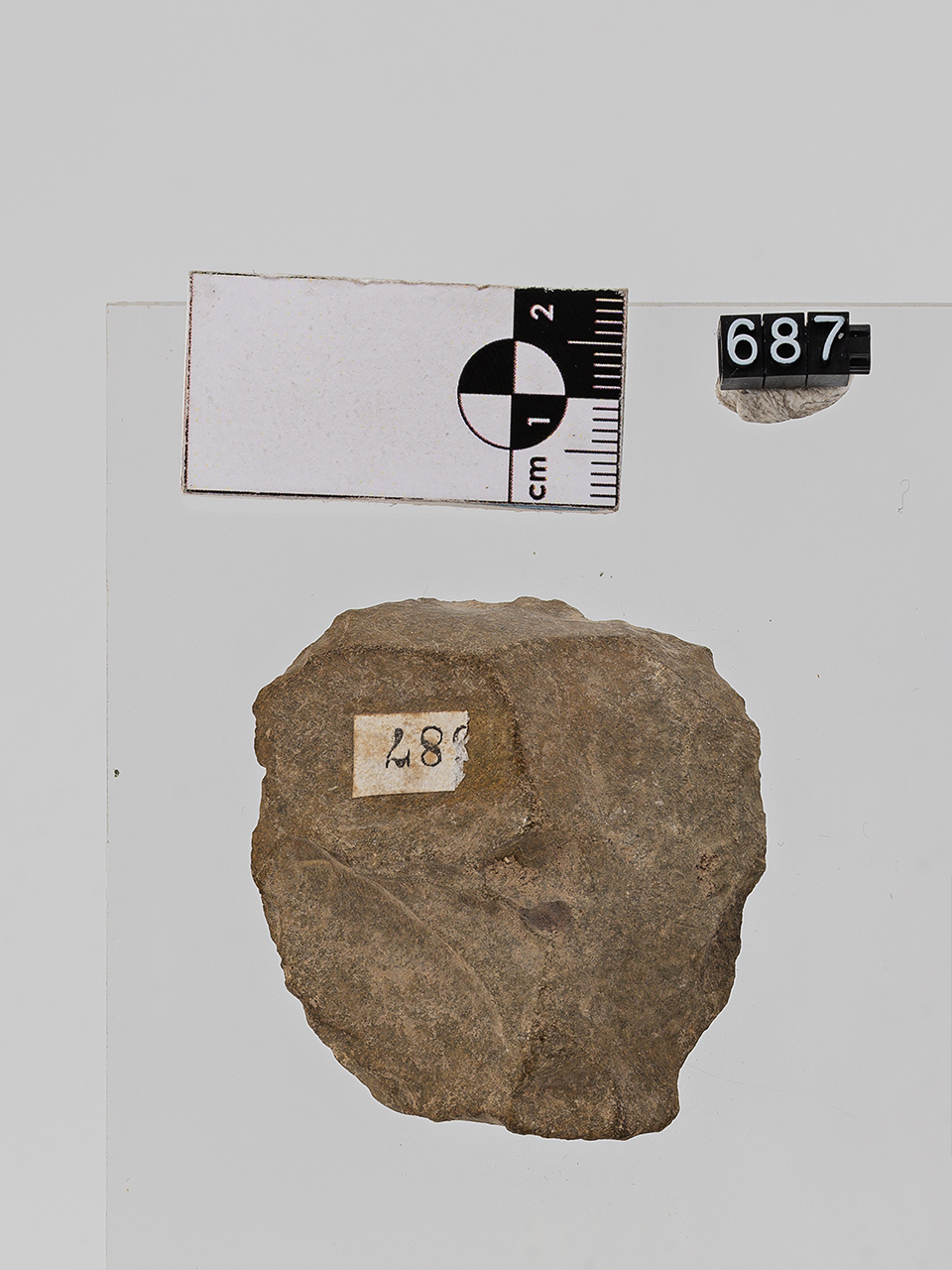 nucleo (PERIODIZZAZIONI/ PREISTORIA/ Paleolitico/ Paleolitico inferiore-medio)