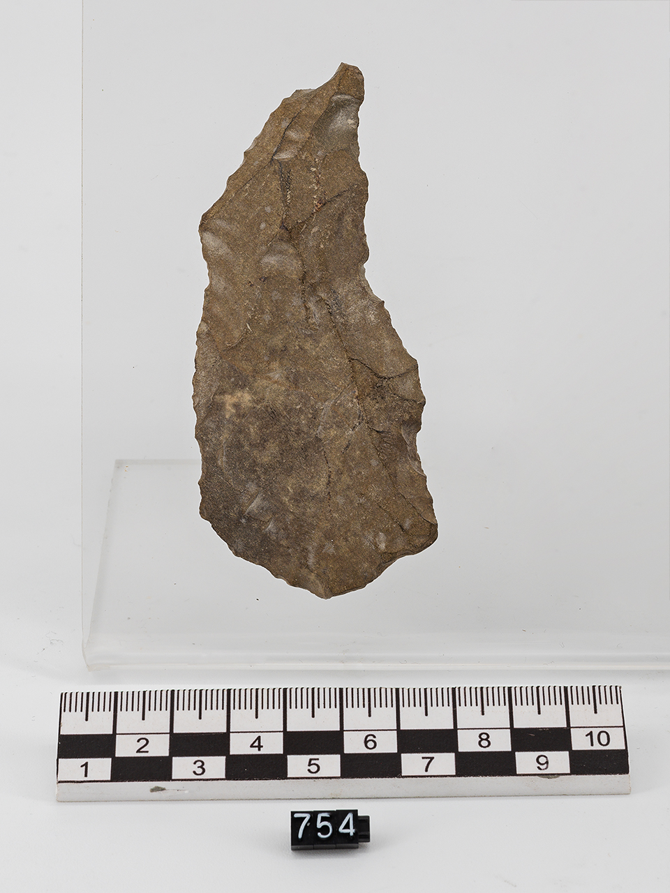 lama raschiatoio (PERIODIZZAZIONI/ PREISTORIA/ Paleolitico/ Paleolitico inferiore-medio)