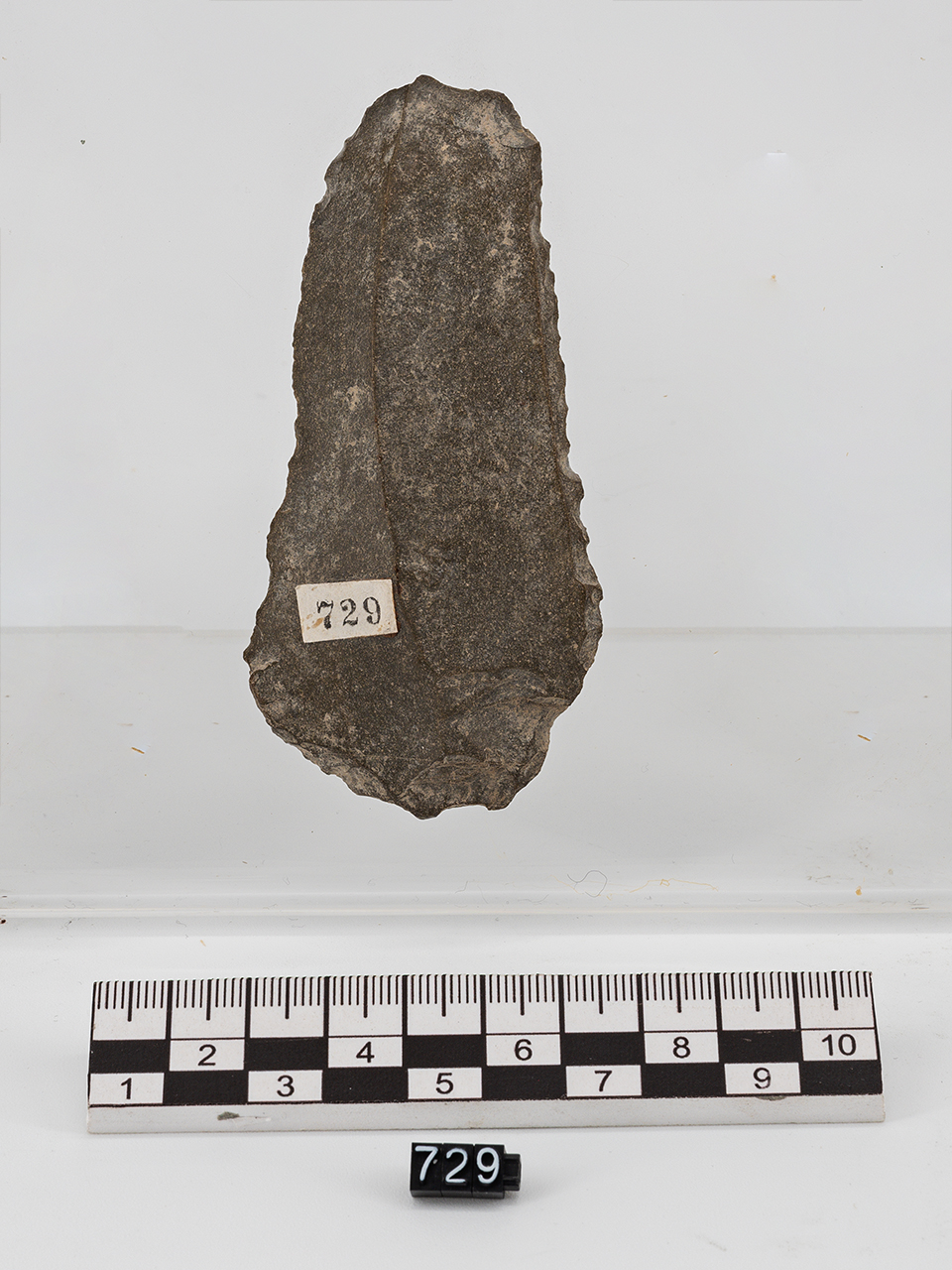 lama raschiatoio (PERIODIZZAZIONI/ PREISTORIA/ Paleolitico/ Paleolitico inferiore-medio)