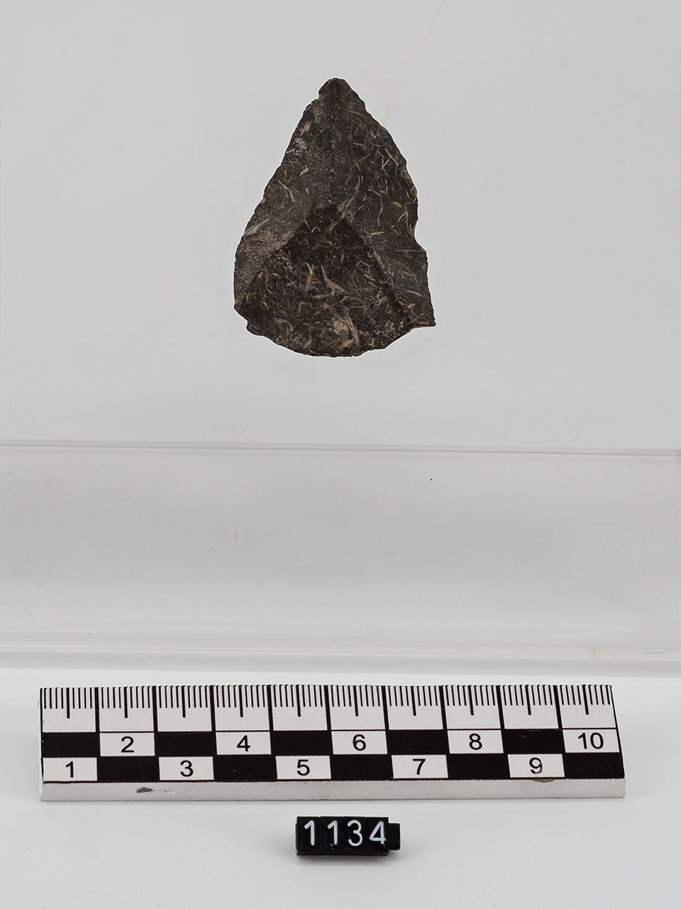 punta (PERIODIZZAZIONI/ PREISTORIA/ Paleolitico/ Paleolitico inferiore-medio)