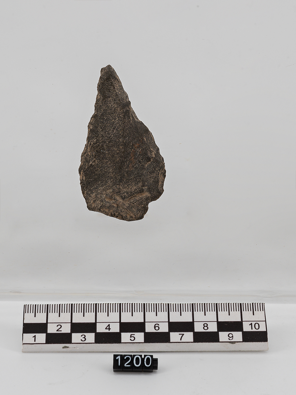 punta (PERIODIZZAZIONI/ PREISTORIA/ Paleolitico/ Paleolitico medio)