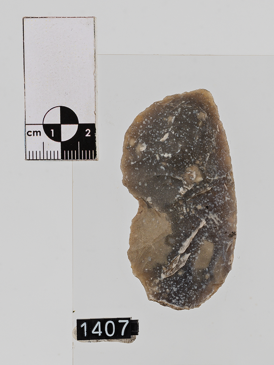 raschiatoio (PERIODIZZAZIONI/ PREISTORIA/ Paleolitico/ Paleolitico medio)