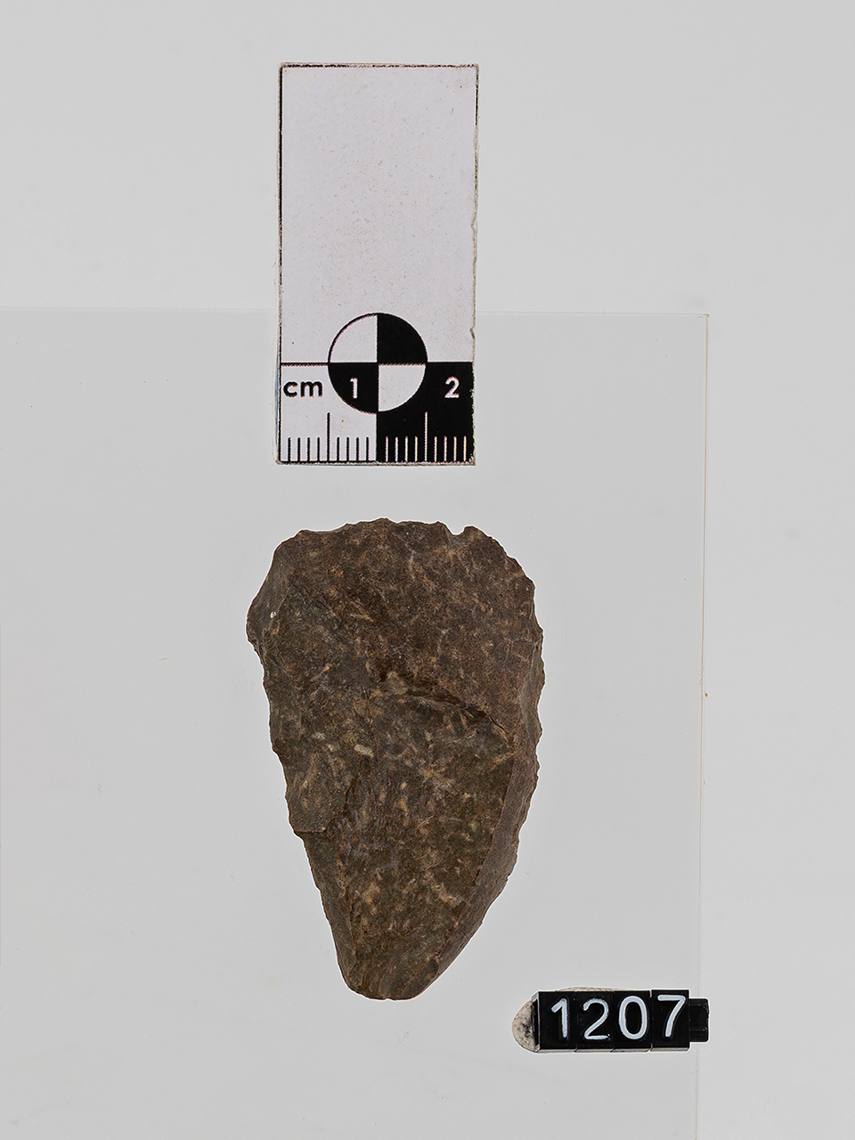 raschiatoio (PERIODIZZAZIONI/ PREISTORIA/ Paleolitico/ Paleolitico medio)