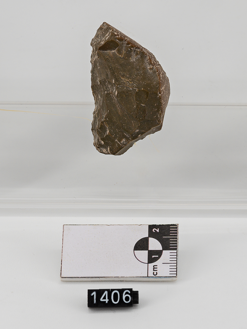 raschiatoio (PERIODIZZAZIONI/ PREISTORIA/ Paleolitico/ Paleolitico medio)