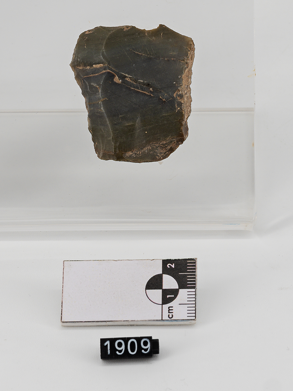 raschiatoio (PERIODIZZAZIONI/ PREISTORIA/ Paleolitico/ Paleolitico medio)