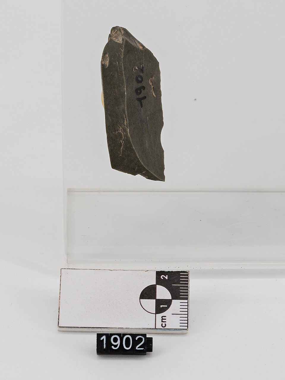 punta a dorso (PERIODIZZAZIONI/ PREISTORIA/ Paleolitico/ Paleolitico superiore)