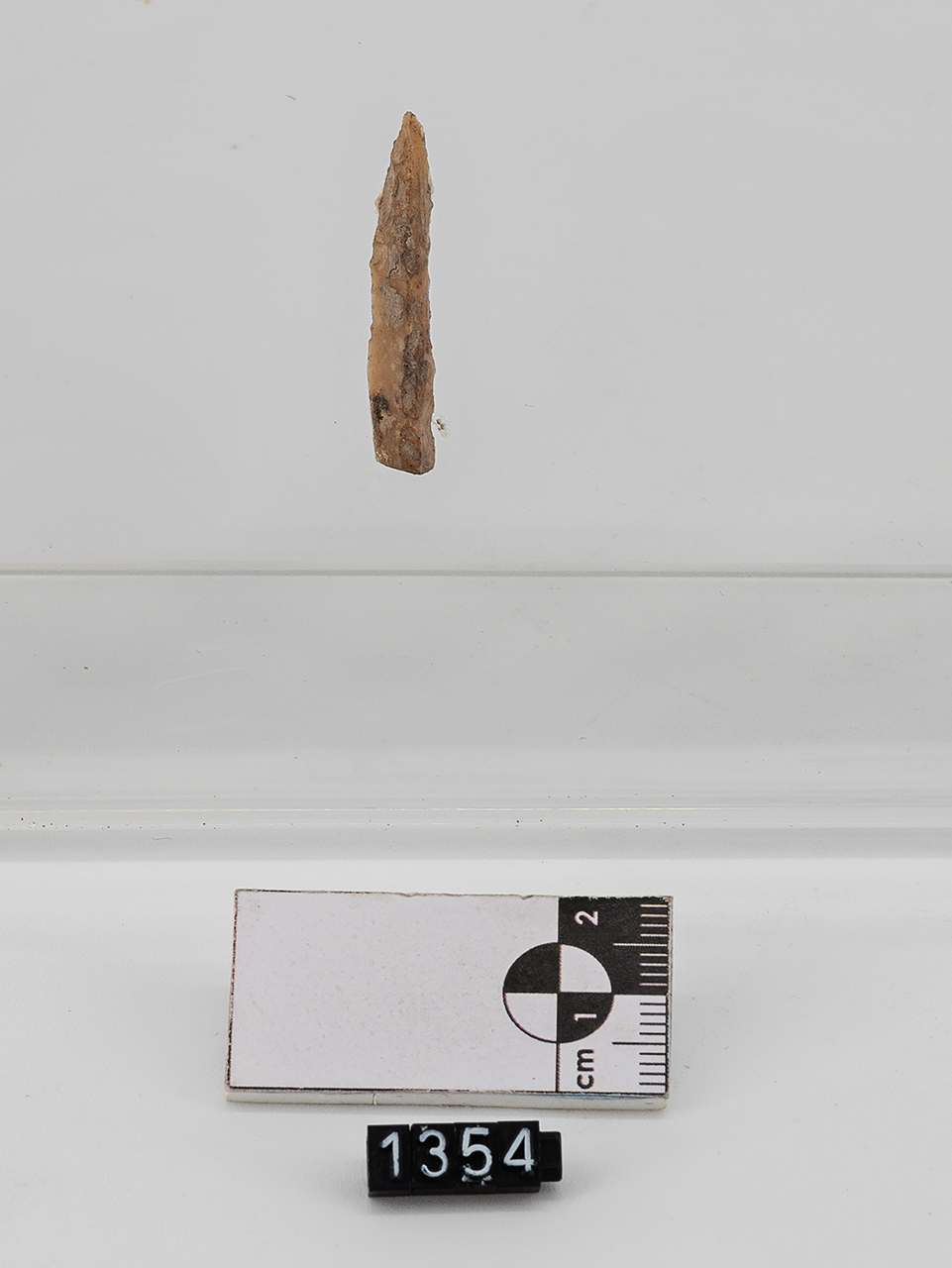 punta a dorso (PERIODIZZAZIONI/ PREISTORIA/ Paleolitico/ Paleolitico superiore)