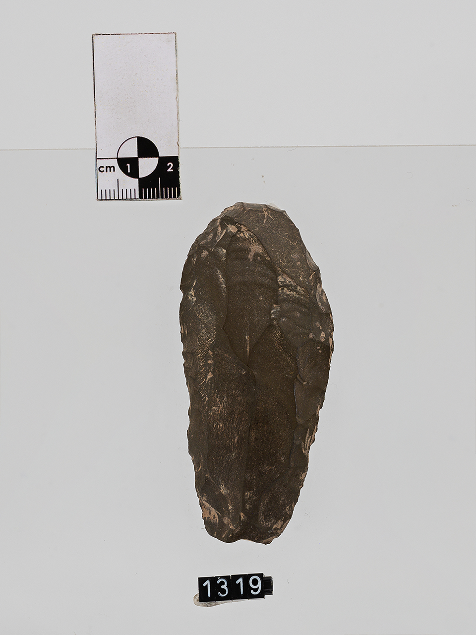 grattatoio (PERIODIZZAZIONI/ PREISTORIA/ Paleolitico/ Paleolitico superiore)