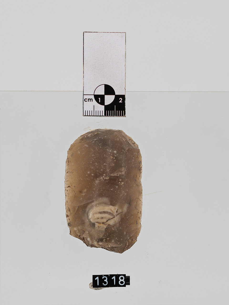 grattatoio (PERIODIZZAZIONI/ PREISTORIA/ Paleolitico/ Paleolitico superiore)