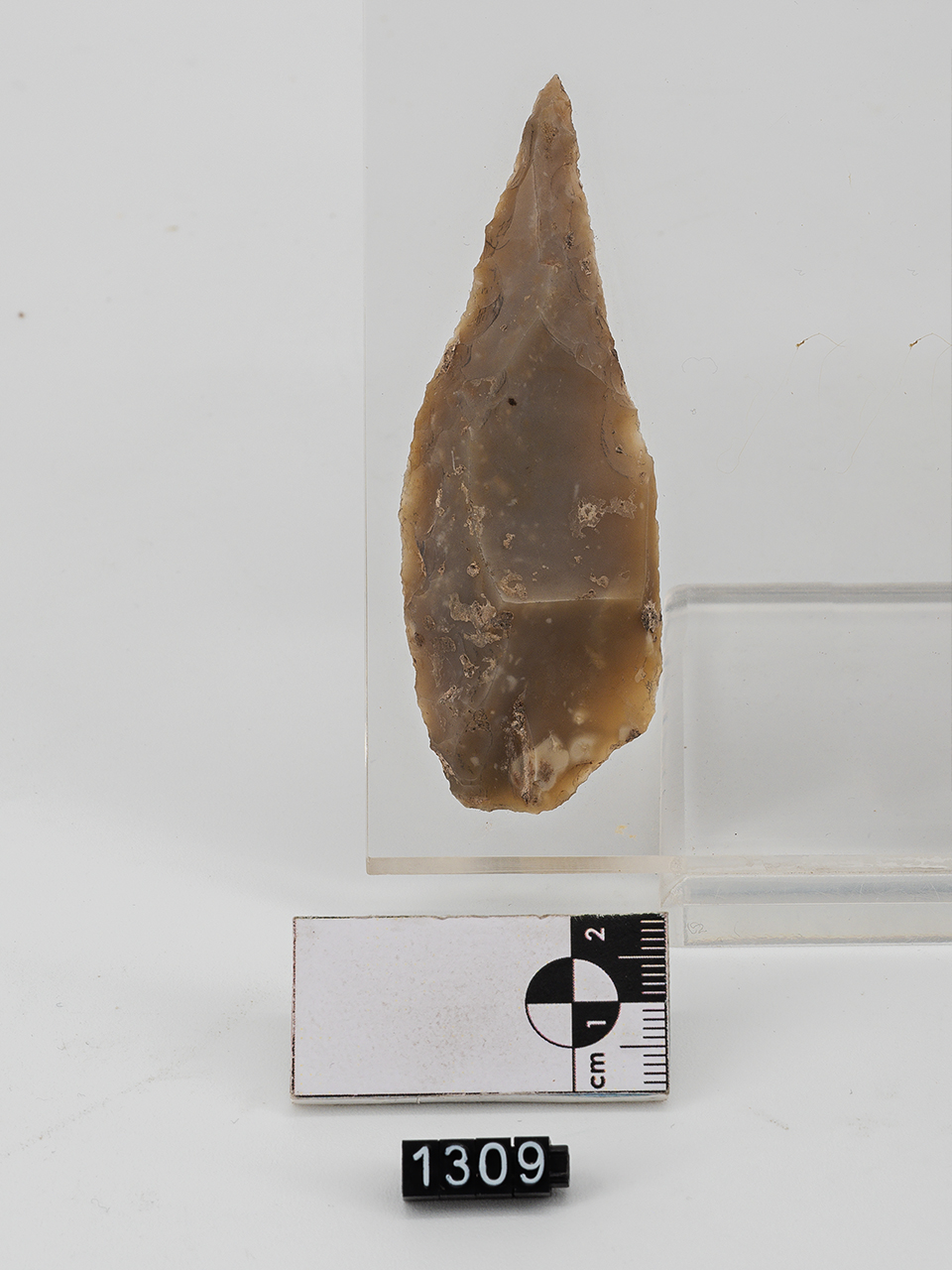 punta (PERIODIZZAZIONI/ PREISTORIA/ Paleolitico/ Paleolitico superiore)