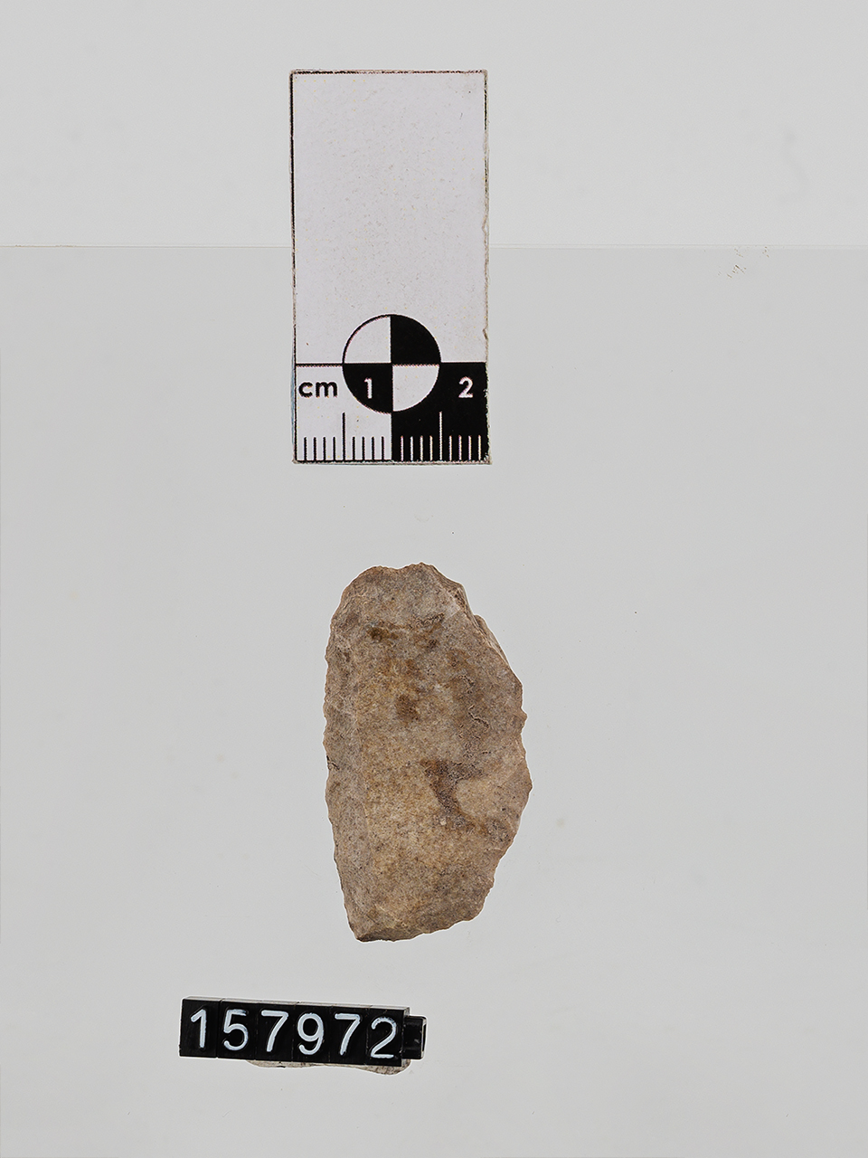 raschiatoio (PERIODIZZAZIONI/ PREISTORIA/ Paleolitico/ Paleolitico medio)