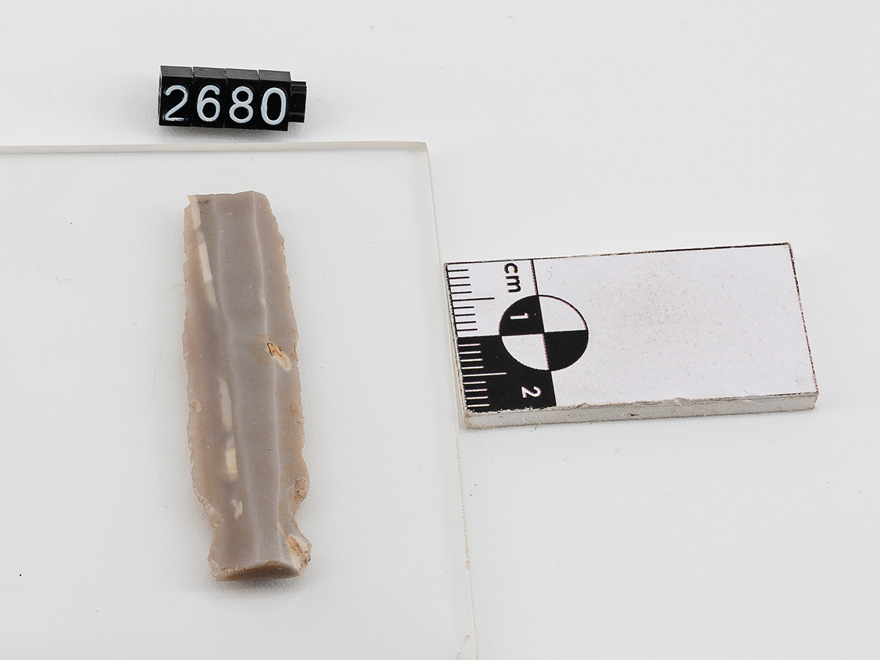 lama (PERIODIZZAZIONI/ PROTOSTORIA/ Eneolitico)