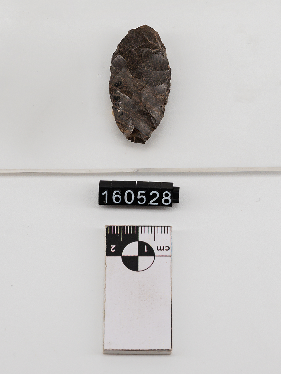 punta/ di freccia (PERIODIZZAZIONI/ PROTOSTORIA/ Eneolitico)