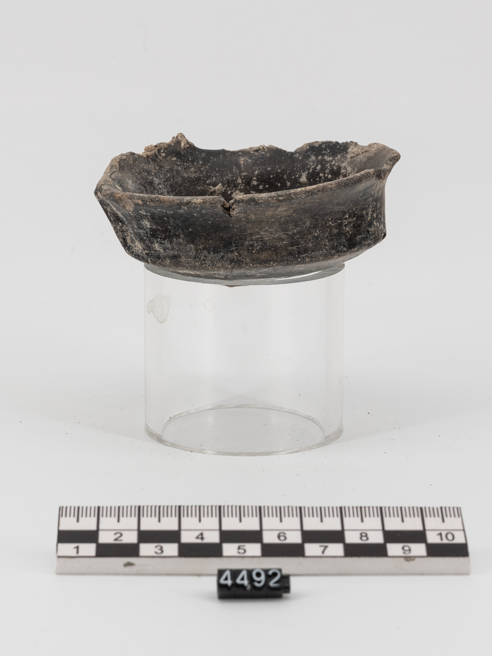 ciotola/ carenata (PERIODIZZAZIONI/ PROTOSTORIA/ Età del Bronzo/ Età del Bronzo medio)