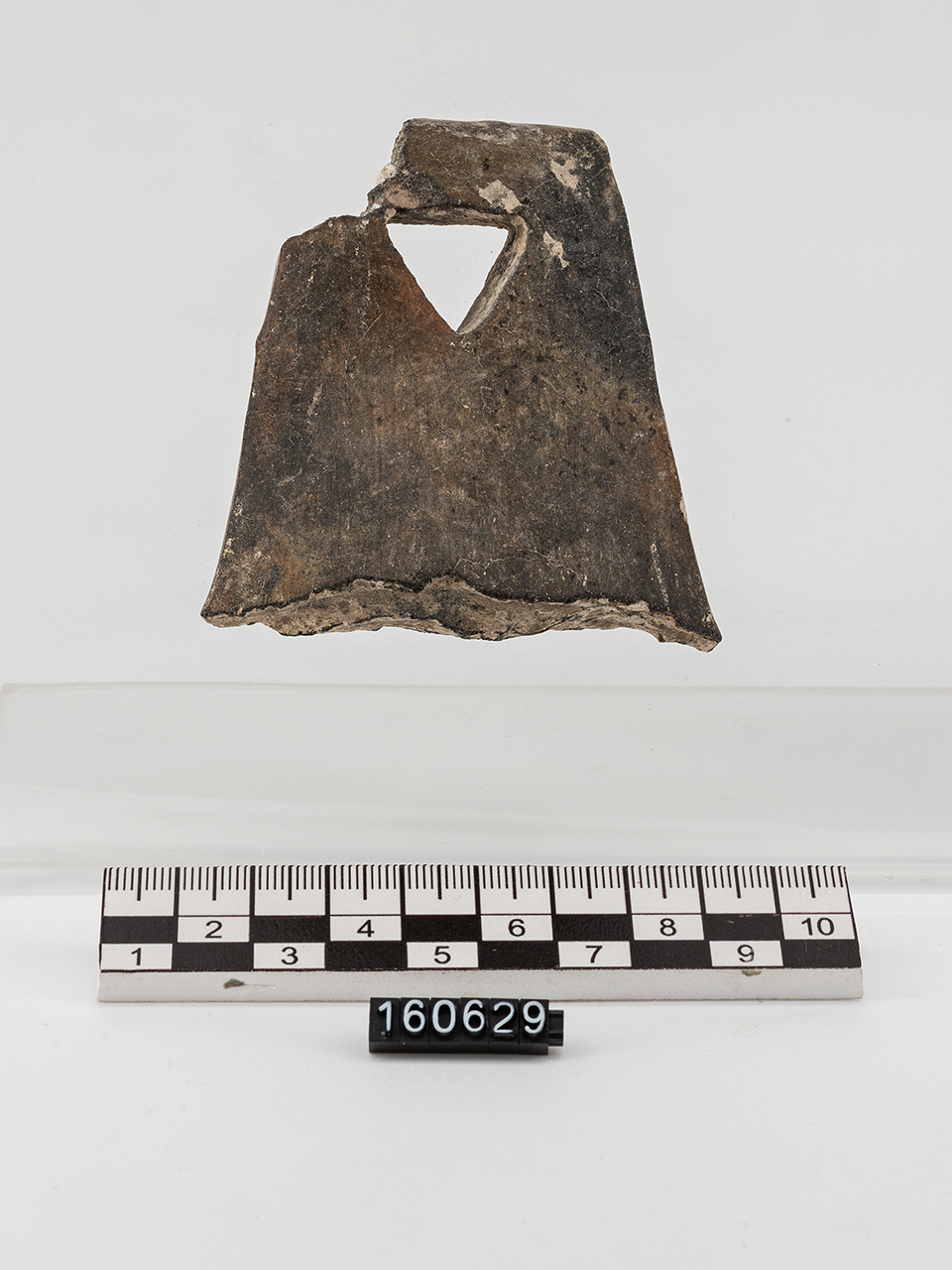 manico a nastro sopraelevato (PERIODIZZAZIONI/ PROTOSTORIA/ Età del Bronzo/ Età del Bronzo medio)