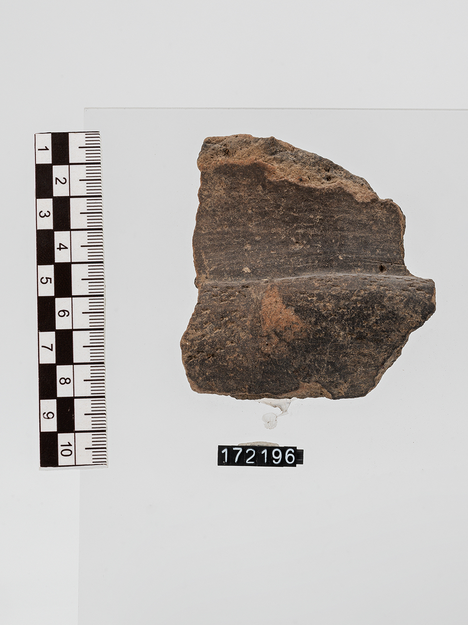 frammento/ parete - Appenninico (PERIODIZZAZIONI/ PROTOSTORIA/ Età del Bronzo/ Età del Bronzo medio)