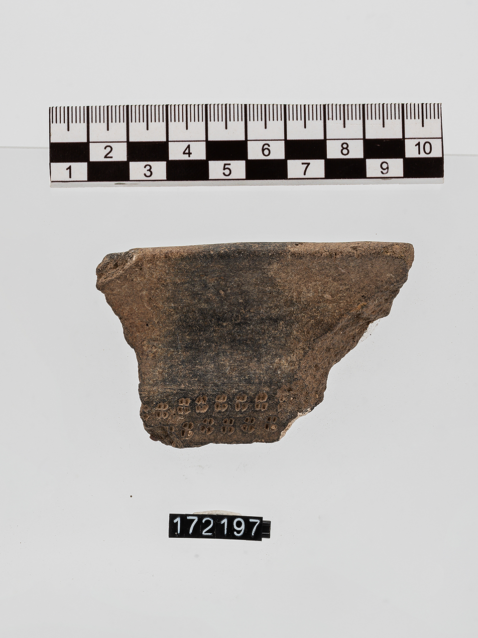 frammento/ orlo, parete - Appenninico (PERIODIZZAZIONI/ PROTOSTORIA/ Età del Bronzo/ Età del Bronzo medio)