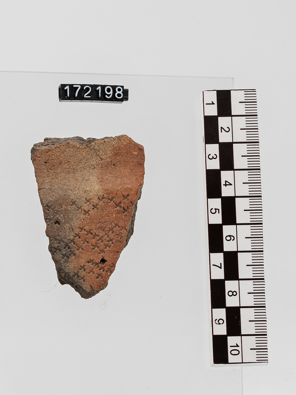 frammento/ parete - Appenninico (PERIODIZZAZIONI/ PROTOSTORIA/ Età del Bronzo/ Età del Bronzo medio)