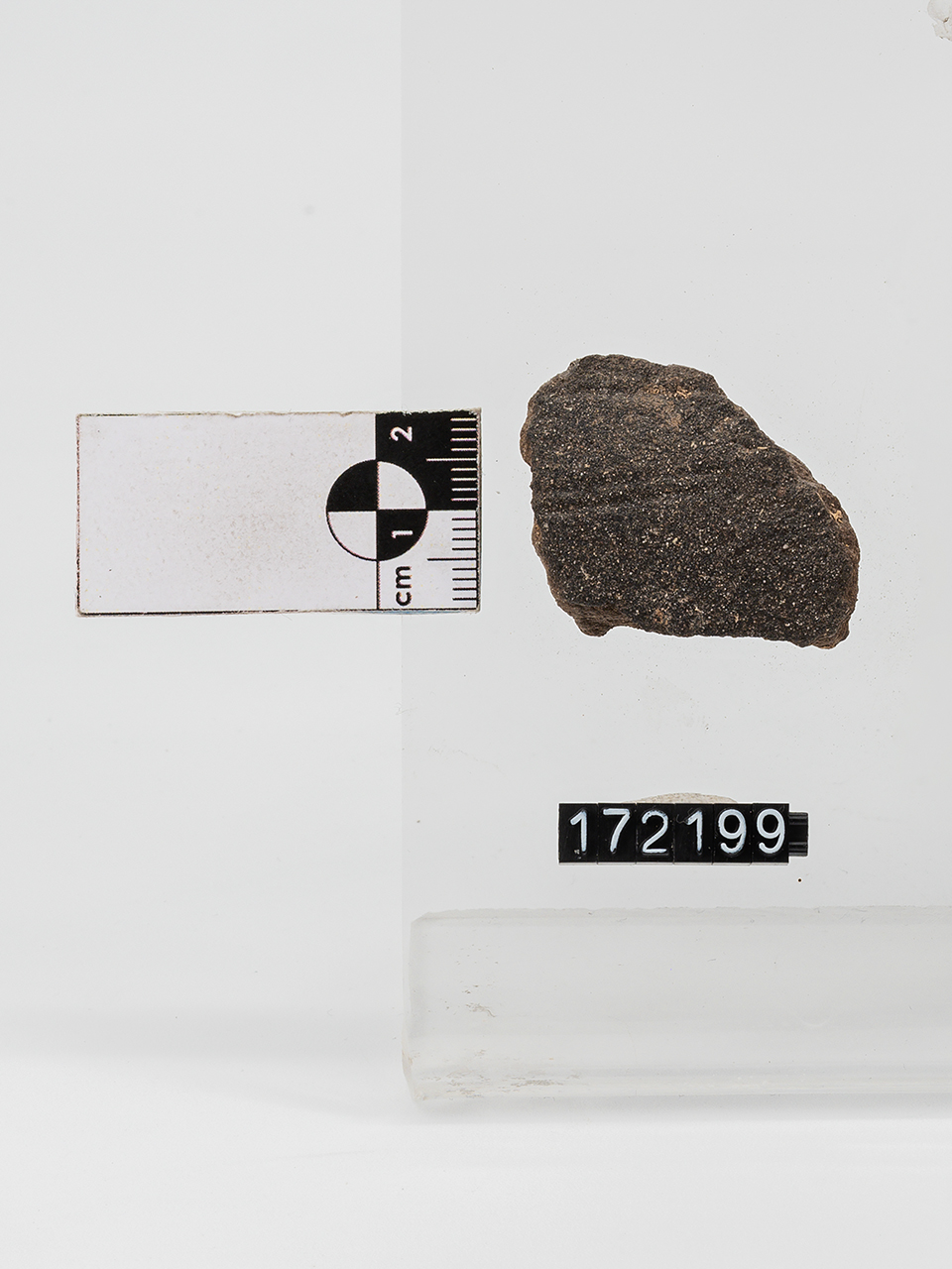 frammento/ parete (PERIODIZZAZIONI/ PROTOSTORIA/ Età del Bronzo/ Età del Bronzo medio)