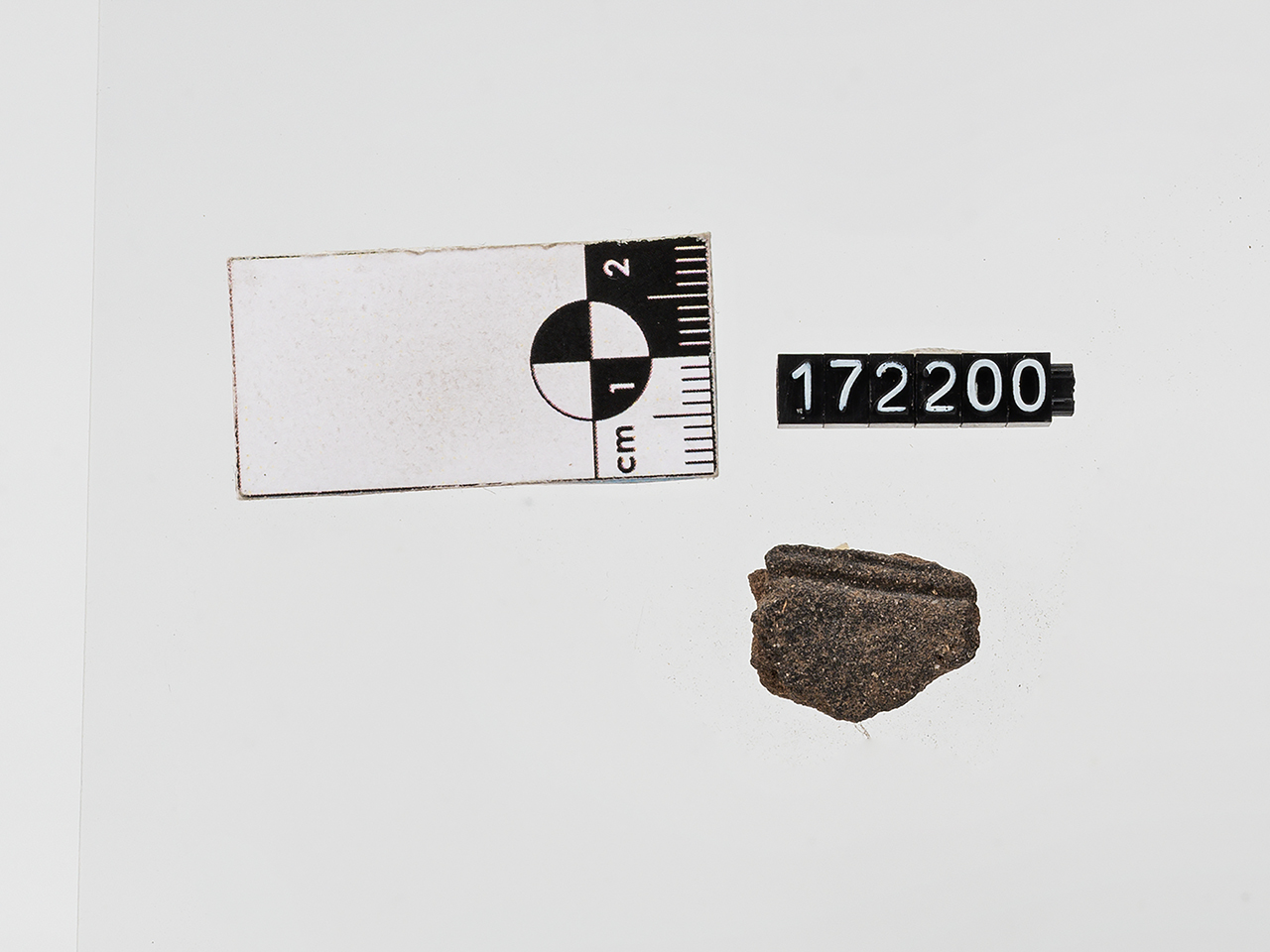 frammento/ parete (PERIODIZZAZIONI/ PROTOSTORIA/ Età del Bronzo/ Età del Bronzo medio)