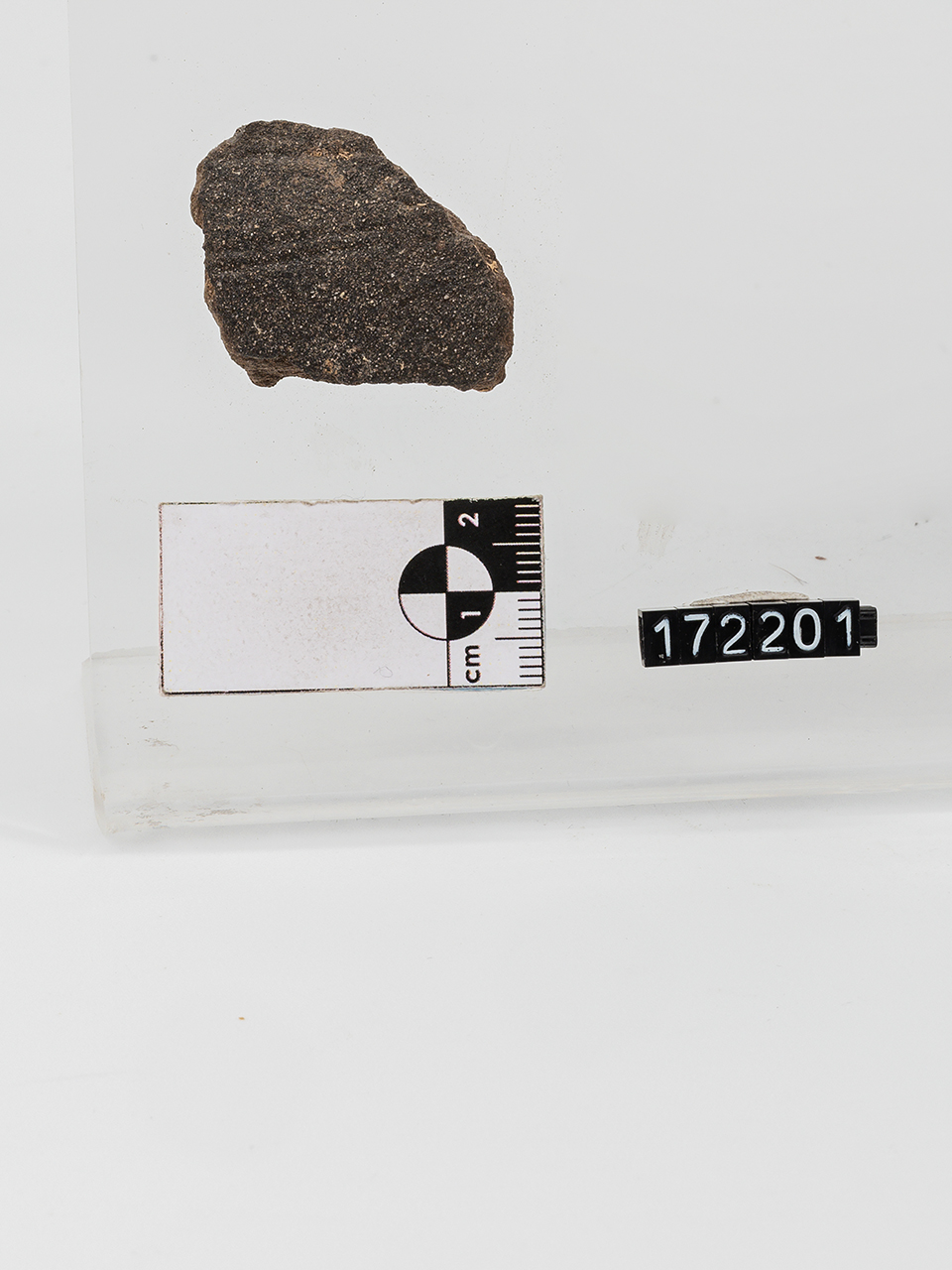 frammento/ parete (PERIODIZZAZIONI/ PROTOSTORIA/ Età del Bronzo/ Età del Bronzo medio)